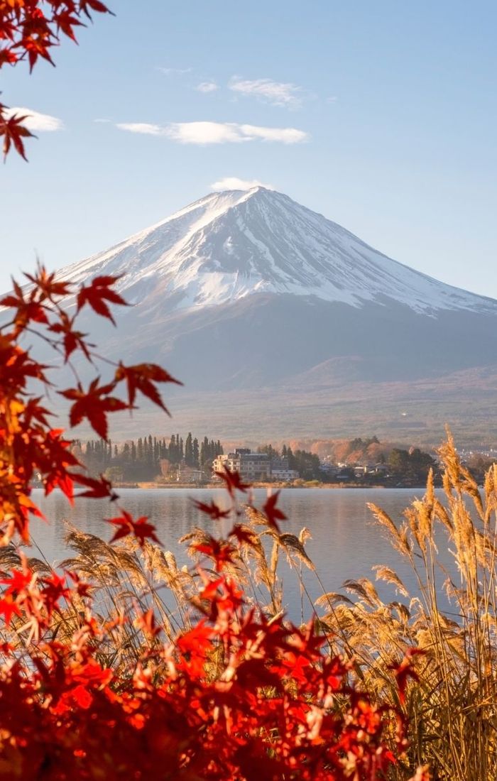Mount Fuji in the background, framed by red autumn leaves and golden grasses by a lake under a clear blue sky.