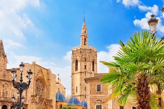 Historic cathedral with a bell tower and blue-tiled domes under a bright blue sky, framed by palm trees in the foreground.