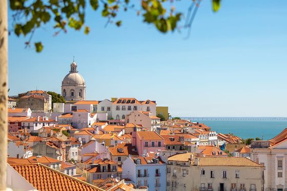 Scenic view of Lisbon with red-roofed buildings, a dome, and the sea in the background, framed by green leaves.