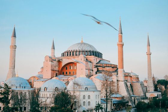 Hagia Sophia with its domes and minarets under a clear blue sky, birds flying overhead.