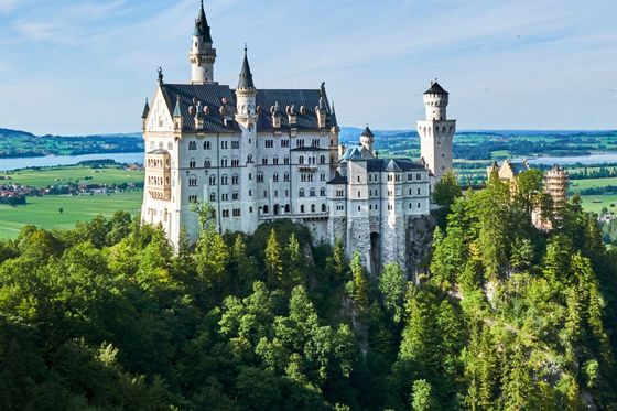 A majestic castle perched on a hilltop surrounded by lush green forests under a clear blue sky, overlooking a scenic landscape.