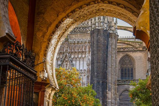 Ornate archway with view of a Gothic cathedral facade, featuring intricate stonework and surrounded by lush orange trees.
