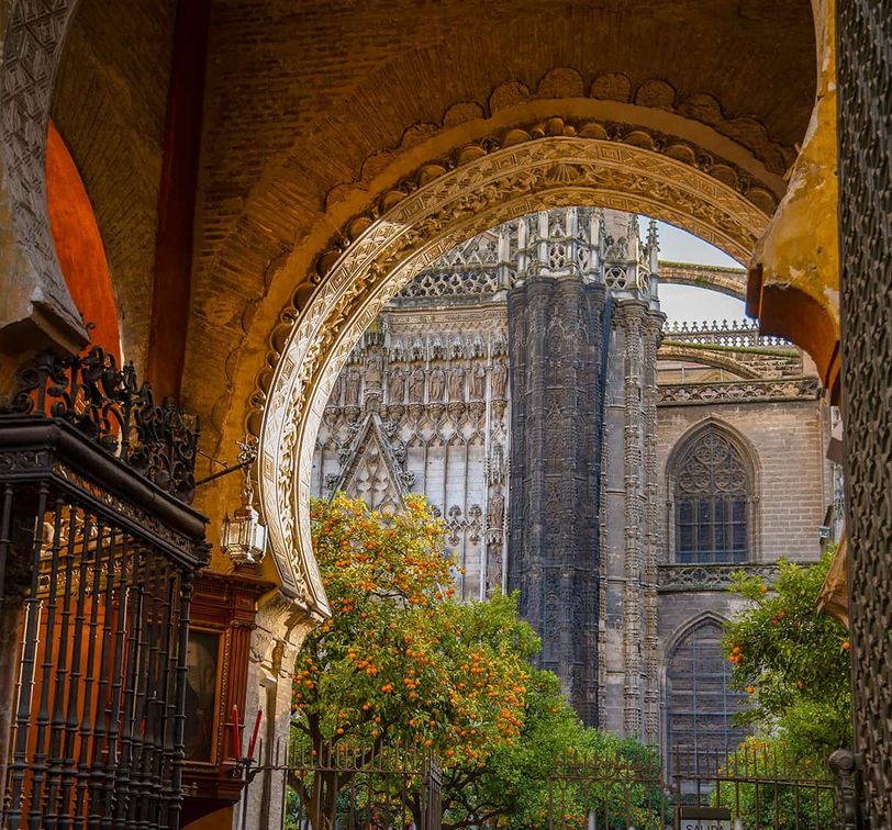 Ornate archway framing a view of a gothic cathedral with intricate spires and lush orange trees around an iron gate.
