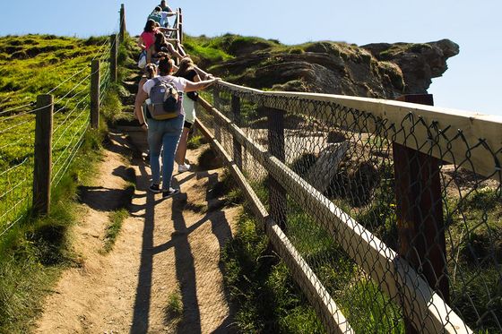 People walking up a narrow dirt path on a sunny day, flanked by grassy hills and a wooden fence, leading to a rocky cliff edge.