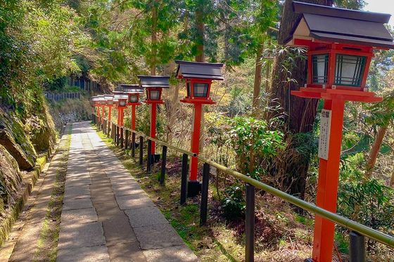 A serene pathway lined with traditional Japanese lanterns and lush greenery, leading through a forested area under a clear blue sky.