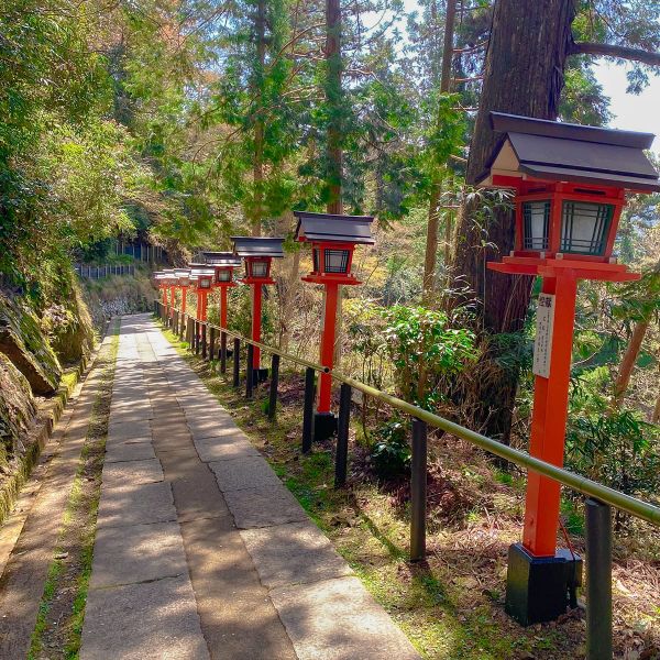 A serene pathway lined with traditional Japanese lanterns and lush greenery, leading through a forested area under a clear blue sky.