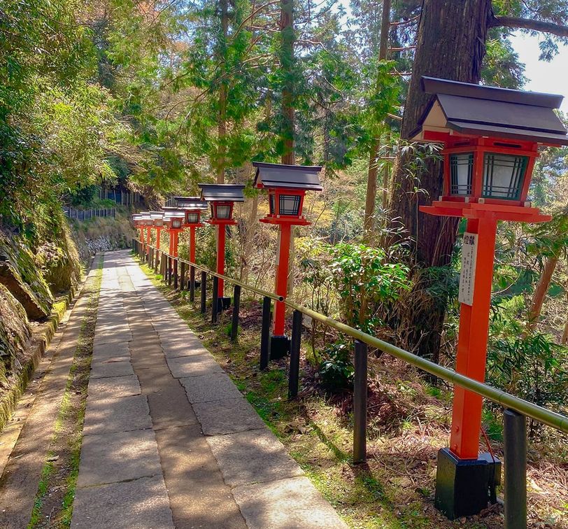 A serene pathway lined with traditional Japanese lanterns and lush greenery, leading through a forested area under a clear blue sky.
