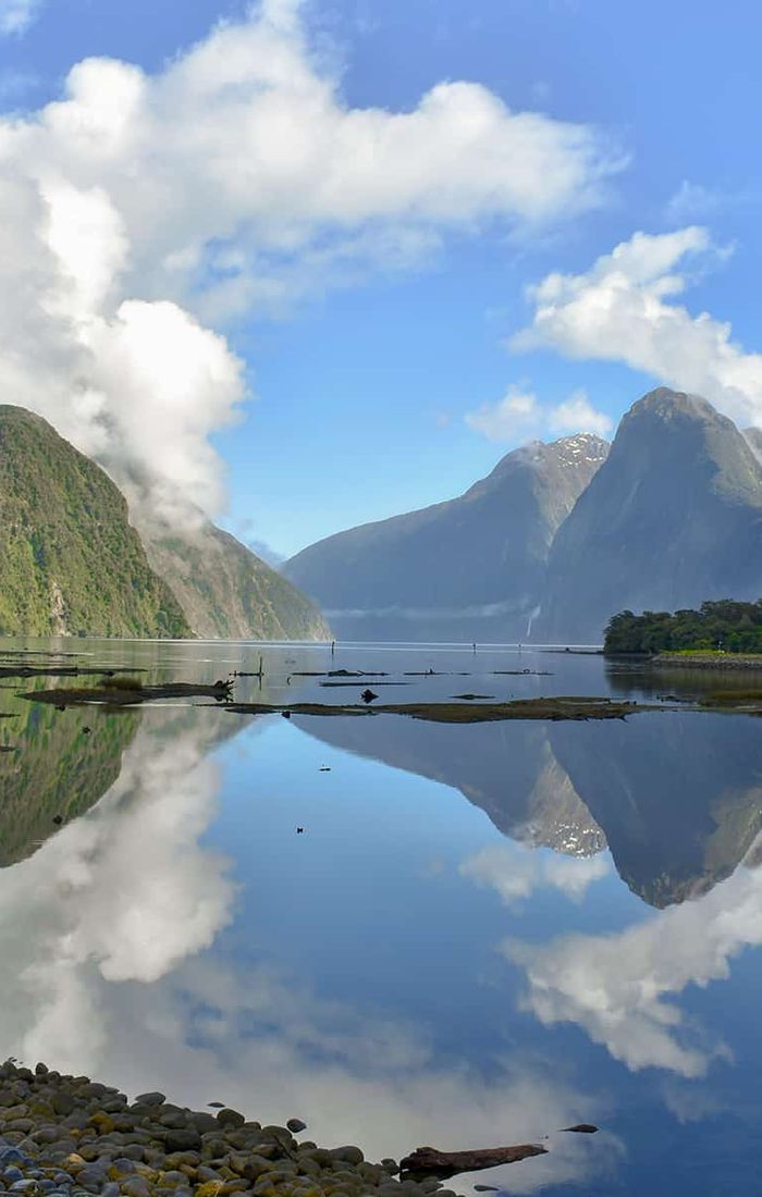 Scenic view of Milford Sound with towering mountains, calm reflective waters, and fluffy clouds under a clear blue sky. Pebbled shore in the foreground.