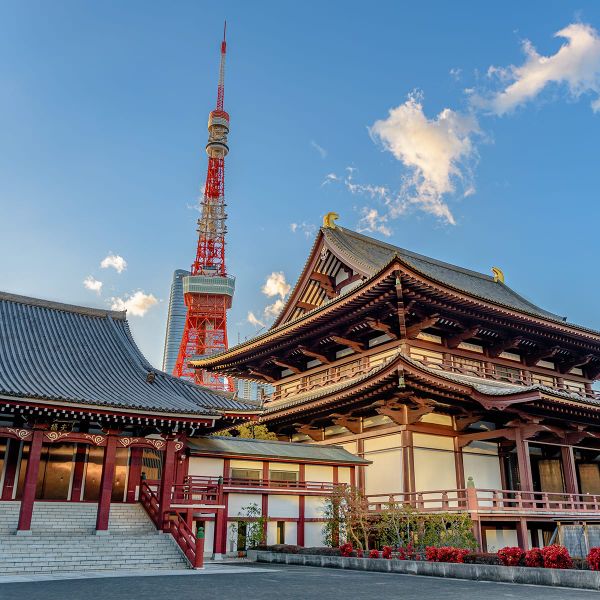 Traditional Japanese temple with ornate wooden architecture in the foreground, Tokyo Tower in the background under a clear blue sky.