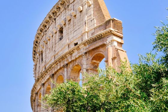 The Colosseum's partially intact ruins set against a clear blue sky with green foliage in the foreground.
