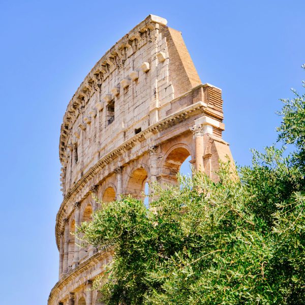 The Colosseum's partially intact ruins set against a clear blue sky with green foliage in the foreground.