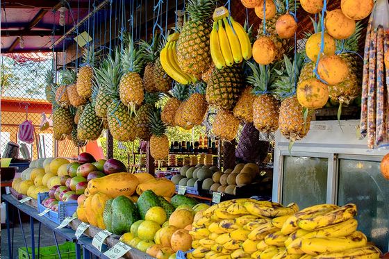 A market stand with various exotic fruits.