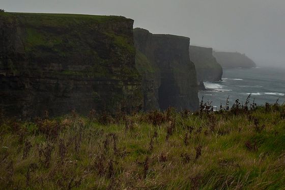 Foggy view of towering sea cliffs with grassy foreground and waves crashing below, under an overcast sky.