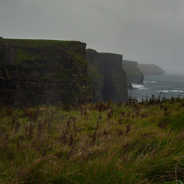 Foggy view of towering sea cliffs with grassy foreground and waves crashing below, under an overcast sky.