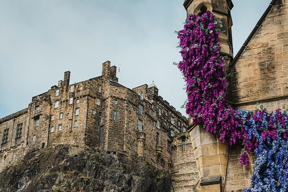 A castle with purple flowers growing up a tower