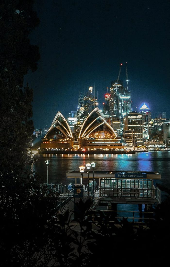 Night view of Sydney Opera House and city skyline, illuminated and reflected in the water, framed by dark trees and buildings in the foreground.