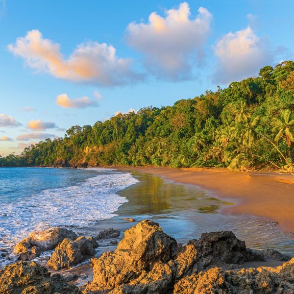 Tropical beach with golden sand, lush green palm trees, rocky shoreline, and gentle ocean waves under a vibrant blue sky with fluffy clouds.
