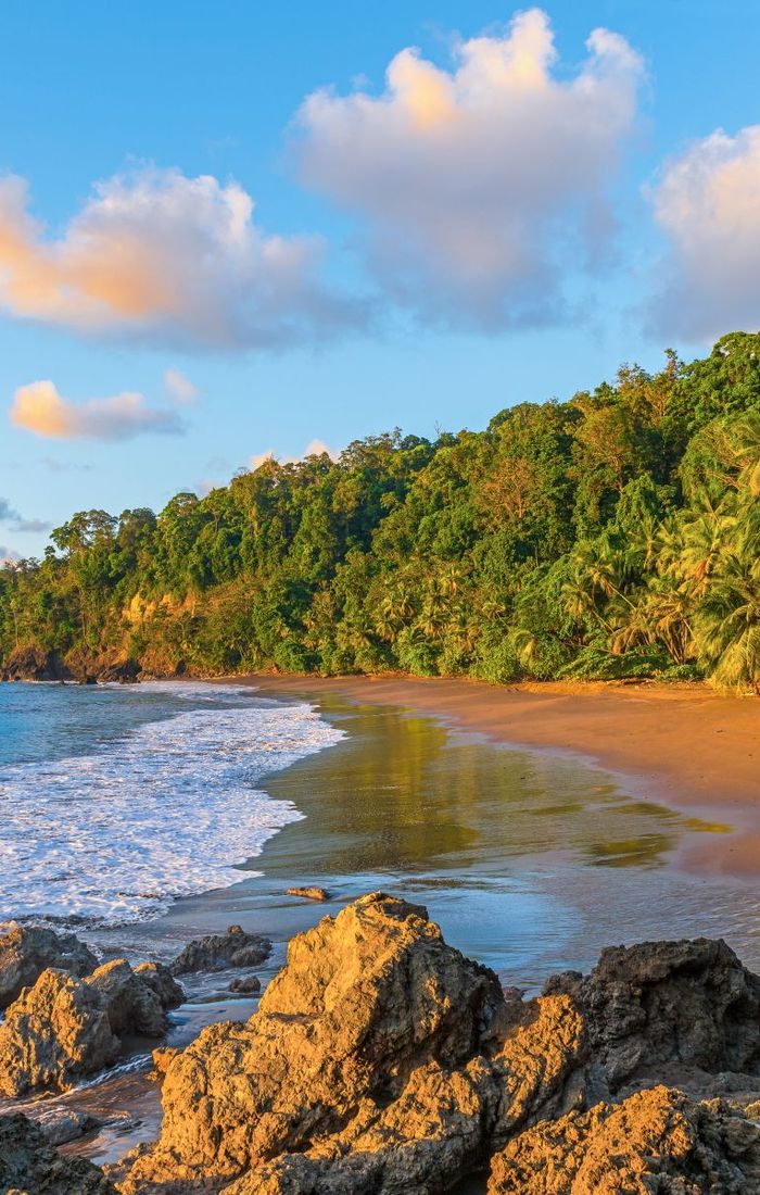 Tropical beach with golden sand, lush green palm trees, rocky shoreline, and gentle ocean waves under a vibrant blue sky with fluffy clouds.