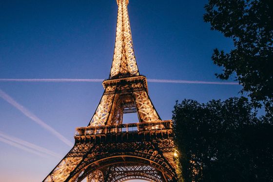 The Eiffel Tower beautifully illuminated against a clear evening sky with trees silhouetted in the foreground.