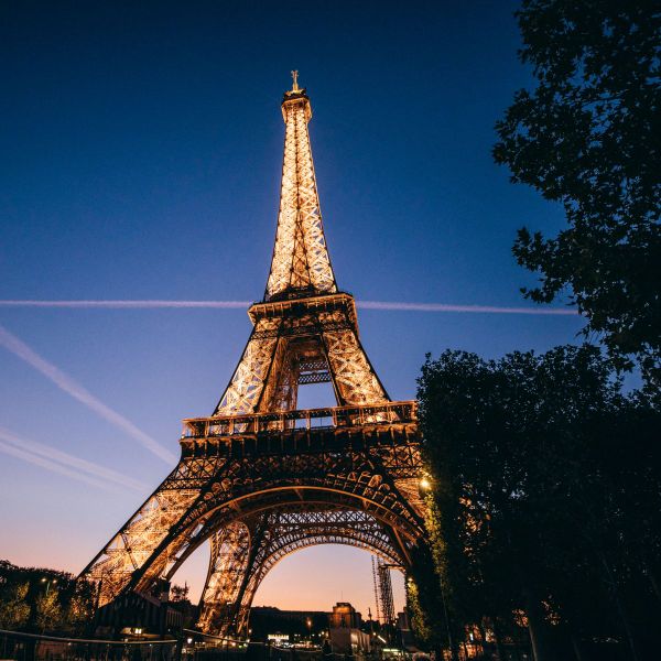 The Eiffel Tower beautifully illuminated against a clear evening sky with trees silhouetted in the foreground.