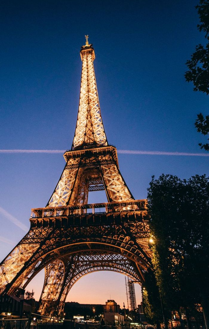 The Eiffel Tower beautifully illuminated against a clear evening sky with trees silhouetted in the foreground.