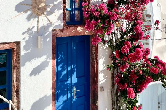 A vibrant blue door and window on a white wall, adorned with lush pink bougainvillea vines and a decorative sun motif.