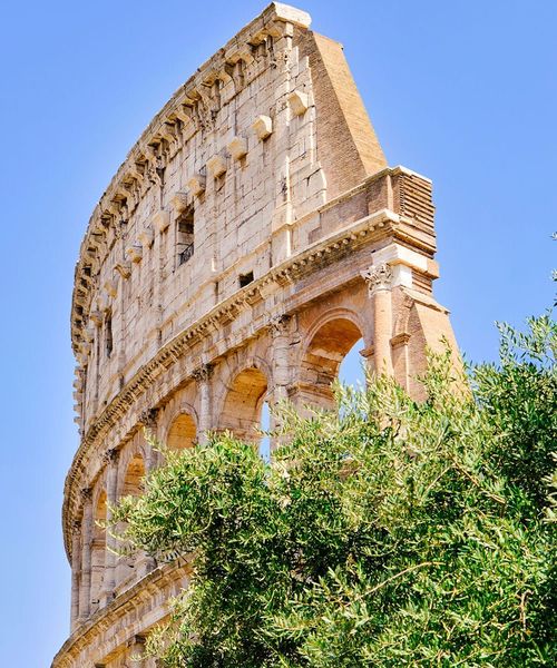 The upper section of the Colosseum partially obscured by green trees against a clear blue sky.