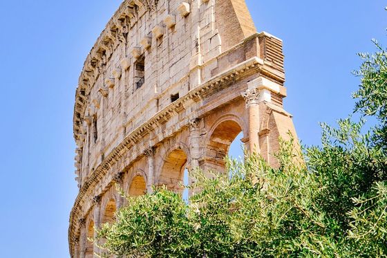 The upper section of the Colosseum partially obscured by green trees against a clear blue sky.