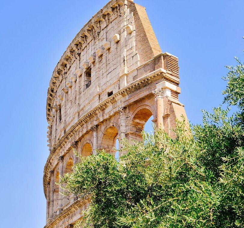 The upper section of the Colosseum partially obscured by green trees against a clear blue sky.