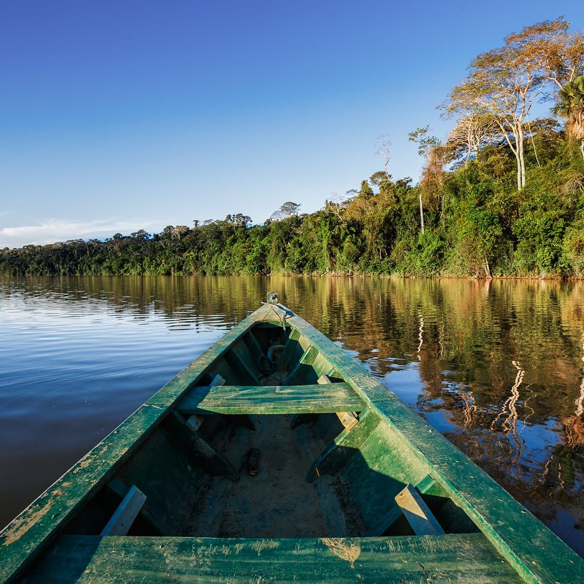 A green canoe floats on a calm river, surrounded by dense forest under a clear blue sky.