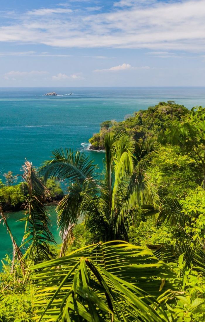 Lush green tropical foliage overlooking a vibrant blue ocean with a distant island under a clear sky.