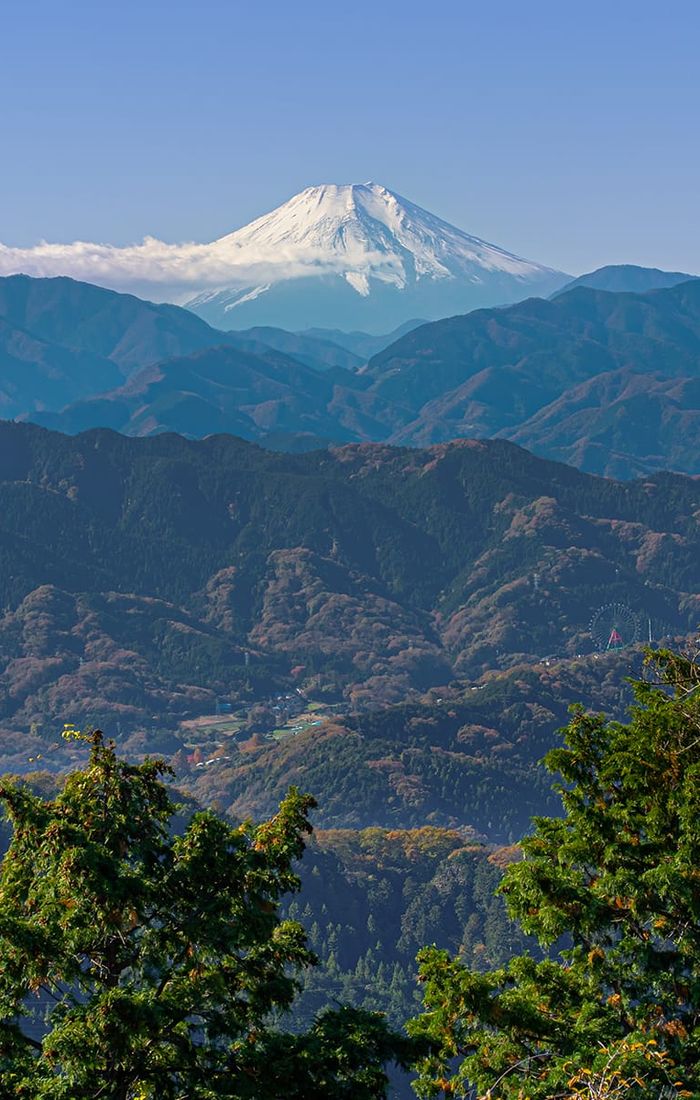 Mount Fuji in the distance, surrounded by layers of green and brown mountains, with trees in the foreground under a clear blue sky.