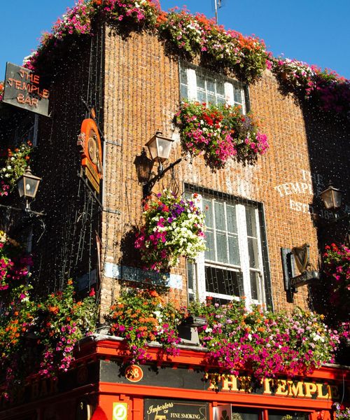 A brick pub facade adorned with vibrant hanging flower baskets under a clear blue sky. Signs read "The Temple Bar" with vintage street lamps.