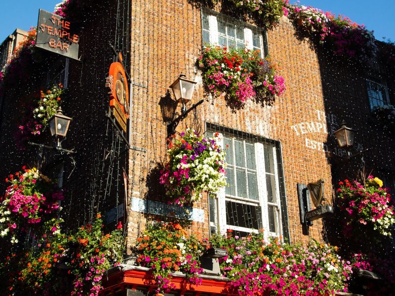 A brick pub facade adorned with vibrant hanging flower baskets under a clear blue sky. Signs read "The Temple Bar" with vintage street lamps.
