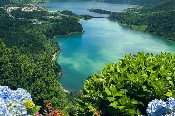 Scenic view of a turquoise lake surrounded by lush green hills, with vibrant blue hydrangeas in the foreground under a partly cloudy sky.