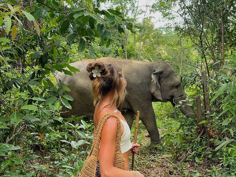 A woman walking next to an elephant.