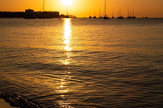 Sunset over a calm sea with silhouetted sailboats and a golden reflection on the water, near a sandy shore.