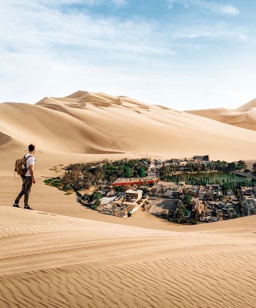 A person standing on sand dune overlooking a desert oasis