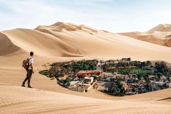 A person standing on sand dune overlooking a desert oasis