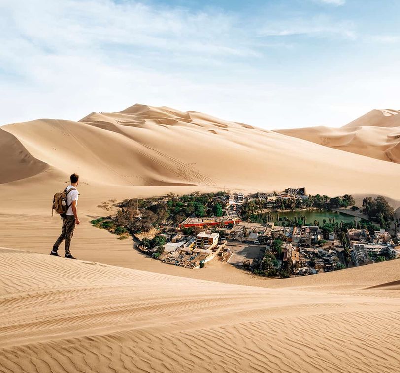 A person standing on sand dune overlooking a desert oasis