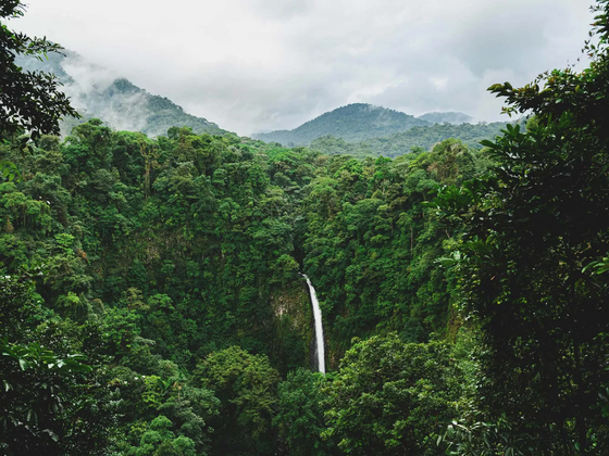 A waterfall cascades through dense, lush greenery in a rainforest, with mist-covered hills in the background under a cloudy sky.