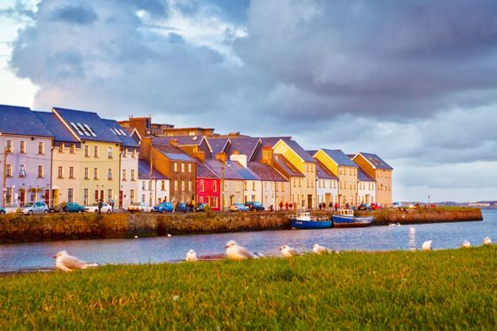 Colorful row of houses along a waterway, with seagulls on grassy foreground, under a dramatic cloudy sky.