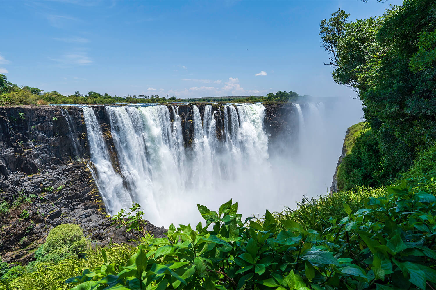 Southern Africa: Botswana, Zimbabwe & Cape Town