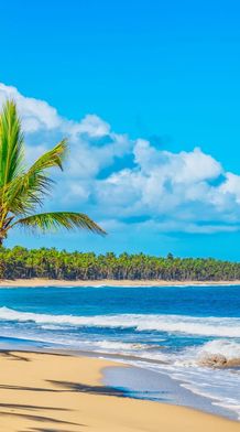 Tropical beach with golden sand, palm trees, blue ocean, and fluffy white clouds under a bright blue sky.