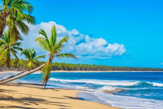 Tropical beach with golden sand, palm trees, blue ocean, and fluffy white clouds under a bright blue sky.