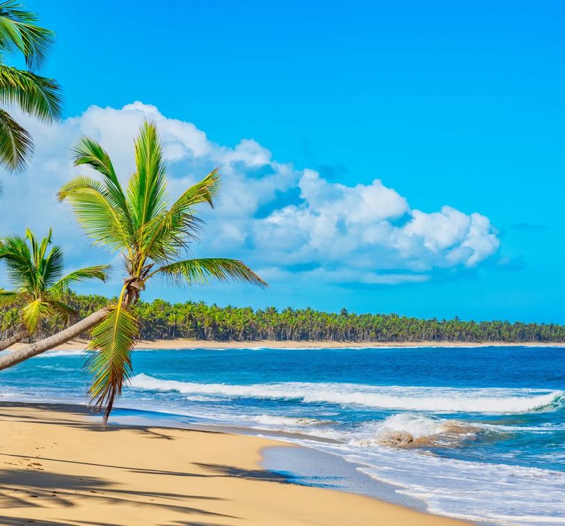 Tropical beach with golden sand, palm trees, blue ocean, and fluffy white clouds under a bright blue sky.