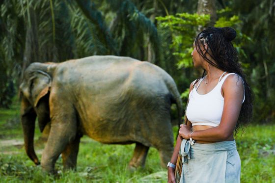 A woman in a white tank top stands in a forest, looking at an elephant walking by.