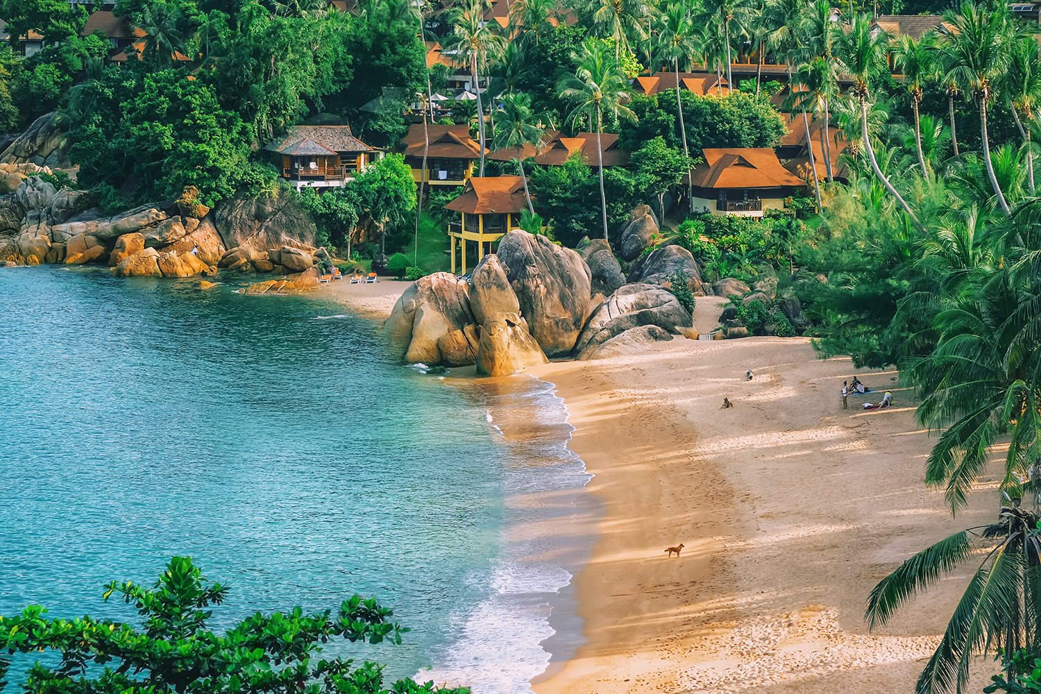 Ultimate Thailand: White Lotus Edition