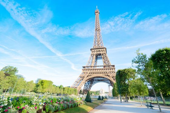 The Eiffel Tower surrounded by green trees and colorful flowers under a clear blue sky.