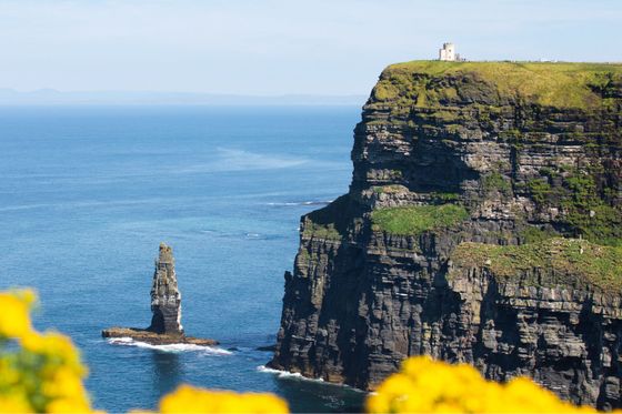 A tall, rocky sea stack and a cliff with grassy top and a small building overlooking a vast blue ocean under a clear sky, with yellow flowers in foreground.